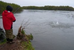 В Магаданской области пришло время гольцов