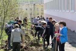 В Магаданской области подведены предварительные итоги акции «Лес Победы»