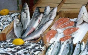 Продажа дешевой рыбы на ярмарках Магадана будет продолжена и после лососевой путины