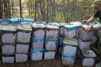 В Магаданской области у браконьеров изъято 48 кубоконтейнеров красной икры
