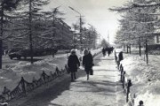 64 года назад в Магадане появился проспект Ленина