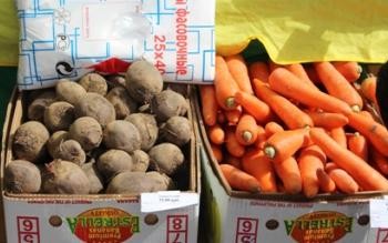 Производство картофеля и овощей на Колыме по сравнению с 2014 годом выросло на 50%.