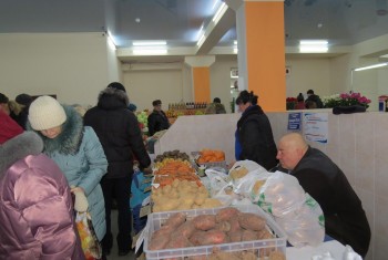 В аграрном секторе Магадана выросло производство мяса и картофеля
