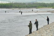 В минувшую лососевую путину рыбаки-любители Магаданской области добыли 35750 кг. горбуши