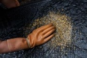 Магаданская область станет пилотным регионом, в котором разрешат вольный принос золота