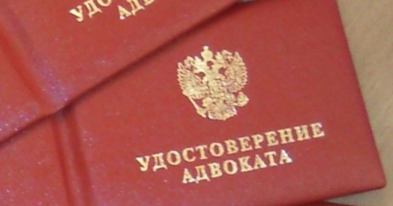 Для полных женщин с животом фасоны платьев возраст 50 лет фото Грибок ногтей - лечение народными средствами грибка на ногах