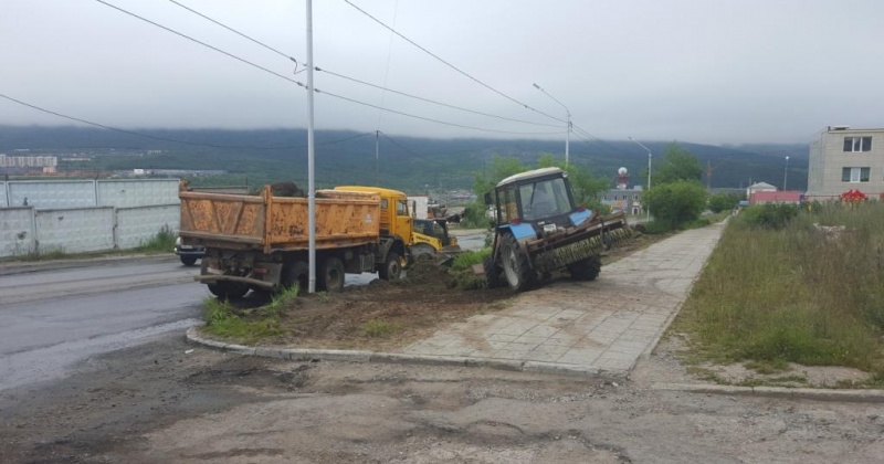 Более 10 тысяч кустарников и 700 деревьев высажено этим летом в колымской столице