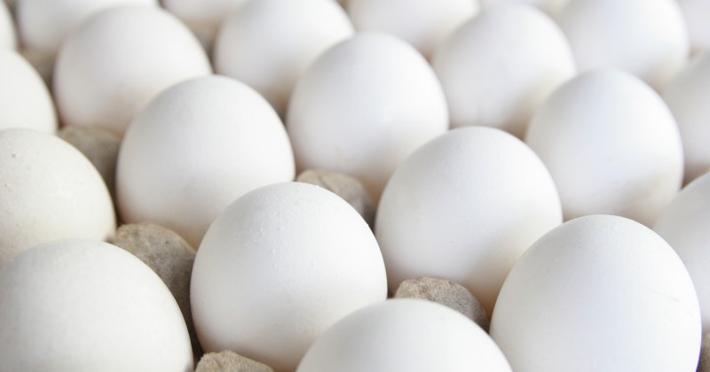 Более миллиона штук куриного яйца производства ООО «Птицефабрика «Дукчинская» вывезено с территории Колымы в прошлом году