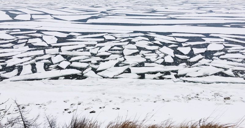 В бухте Гертнера продолжается разрушение льда