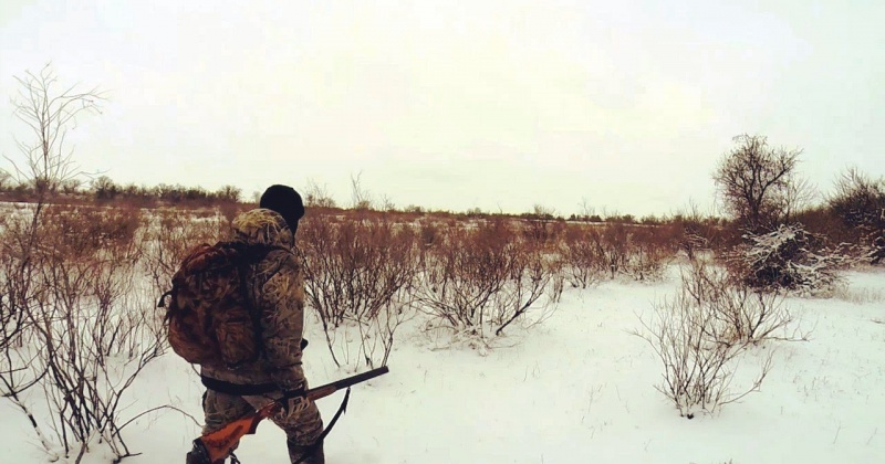 Наиболее массовой формой использования охотничьих угодий на территории Магаданской области являются любительская и спортивная охота