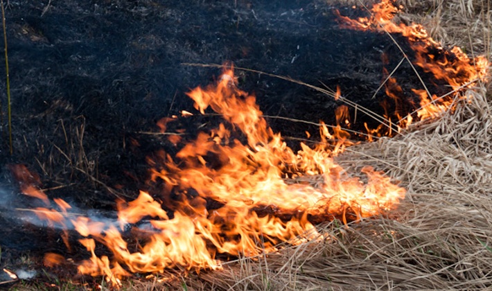Высокая пожарная опасность сохраняется на юге Хасынского и в континентальной части Северо-Эвенского районов Магаданской области