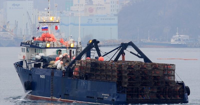 Япония и США будут получать продукцию, изготовленную из краба, выловленного и переработанного на судне «Вестерн энтерпрайс» компании ООО «Тихрыбком»