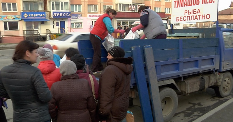 Шесть тонн свежей сельди предоставил жителям своего избирательного округа Михаил Тумашов