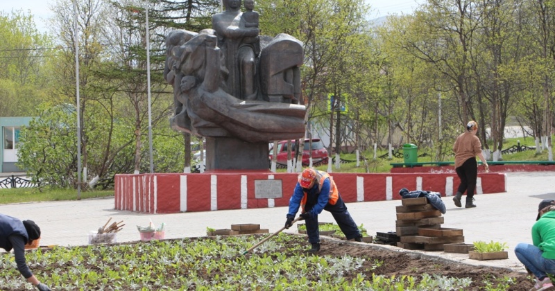 Настурции, бархатцы и календула украсят клумбы Магадана