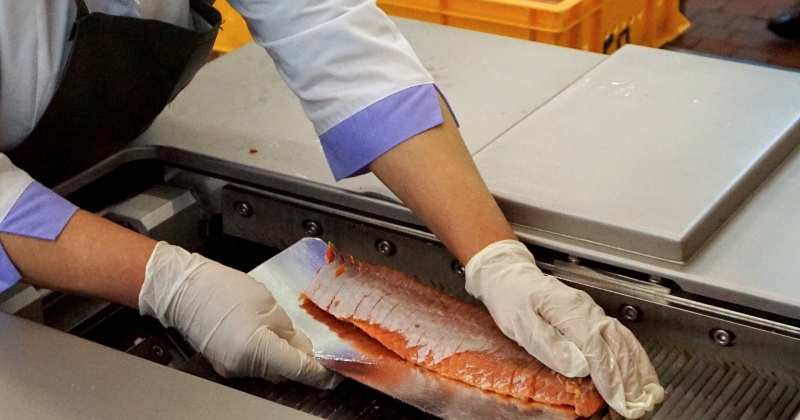 Колымские предприятия рыбохозяйственного комплекса подали заявки на обследование рыбоперерабатывающих производств