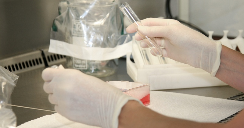 Шесть новых случаев коронавируса зарегистрировано за сутки в Магадане и регионе