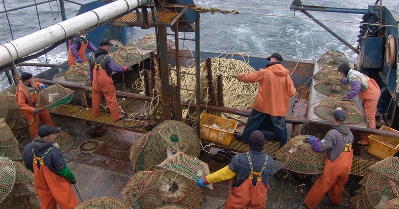 Инвестиции в рыбопромышленную отрасль Колымы в 2019 году составили 702 млн рублей